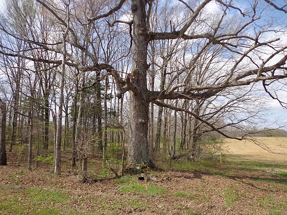 3rd image of 1551 Tennessee Ridge Rd