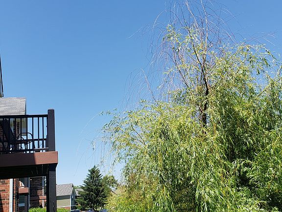 5th image of 1513 Raymond Dr APT 203