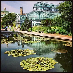 Rented by Rise BK LLC