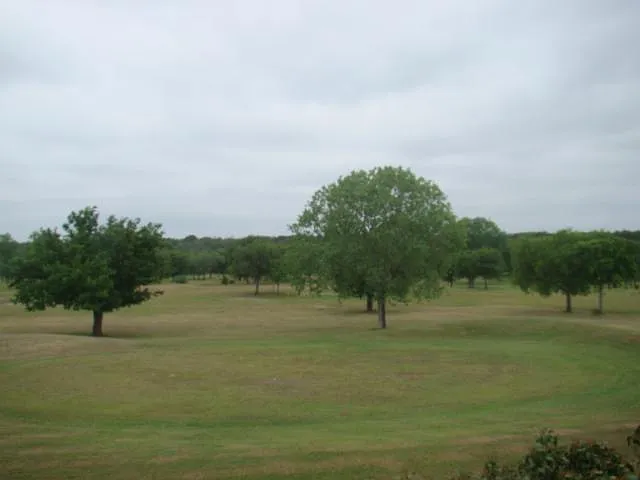 7011 Mary Todd Dr — Photo 14