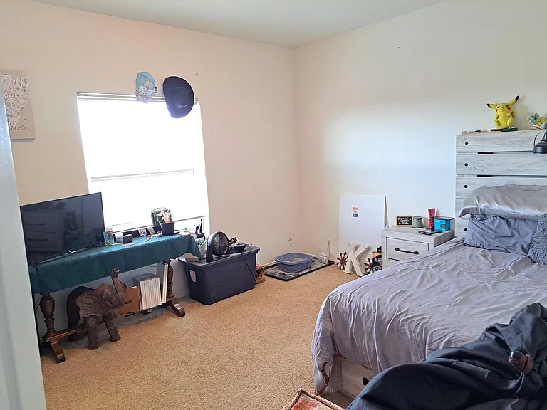 4612 Camino Dos Vidas — Photo 10