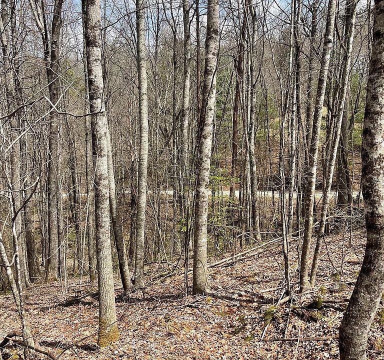 1st image of 0 Hidden Lakes Rd #11-A