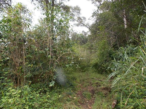 3rd image of 87-3270 Hawaii Belt Rd Lot 3