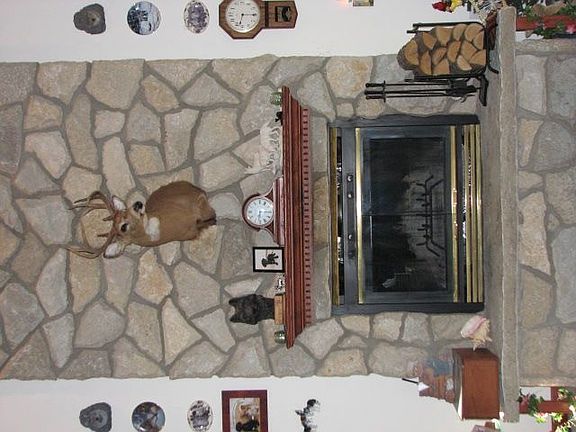 Main level fireplace
