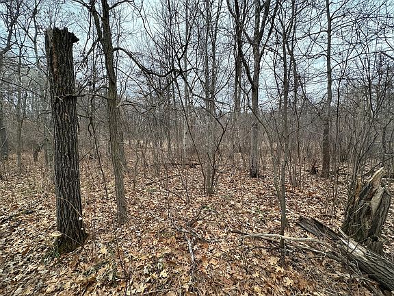 3rd image of LOT 25 County Road 11