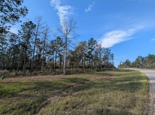 10698 Ruger Rd, Willis, TX 77378