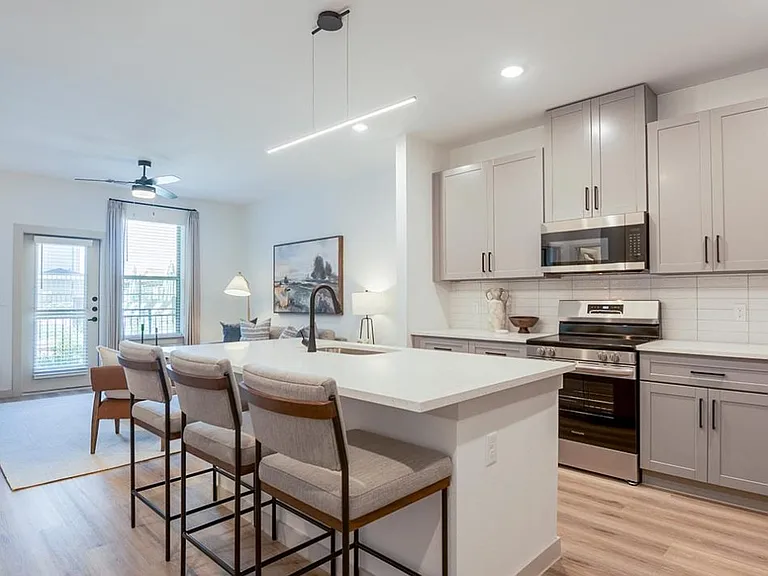 The Luxe at Lewisville | 55 + Active Adult — Photo 1