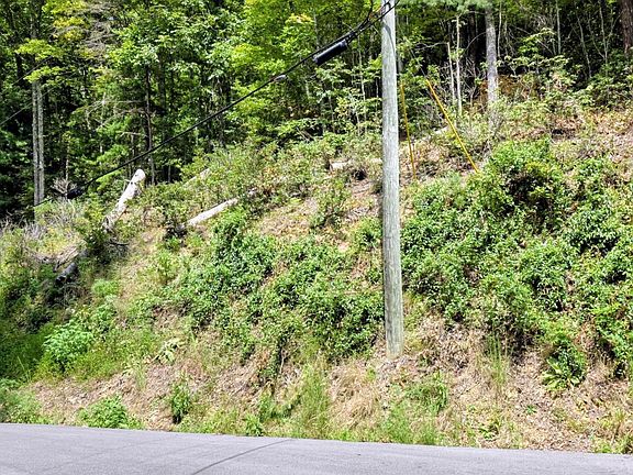5th image of 1 Black Walnut Flats Rd Lot 1