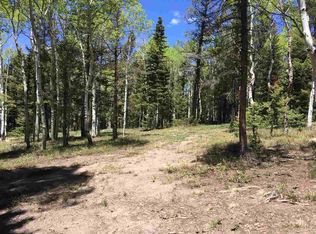 310 Rim Rd, Cimarron, CO 81220