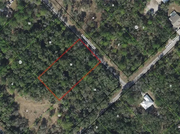 9174 N China Pink Way, Crystal River, FL 34428