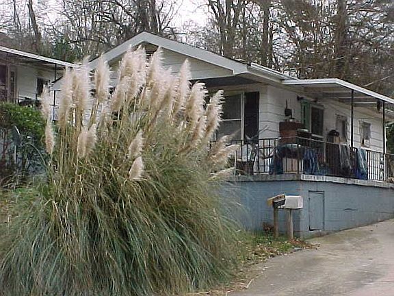 40 Boyce 1 BR