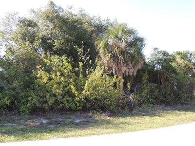 11330 Seabreeze Ave, Port Charlotte, FL, 33981