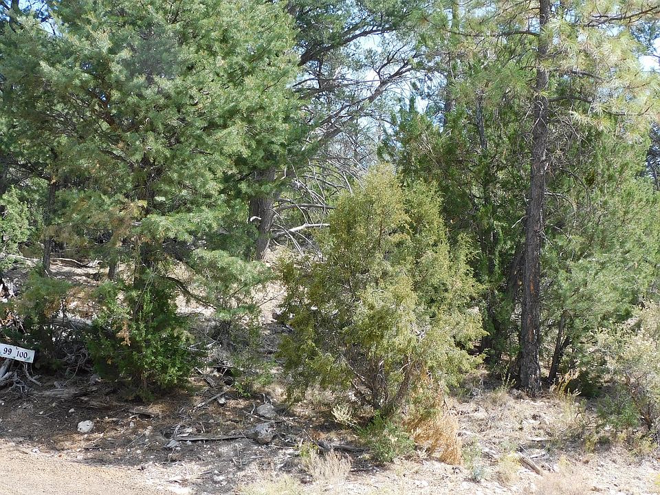 2nd image of 3333 Sawmill Ridge Loop