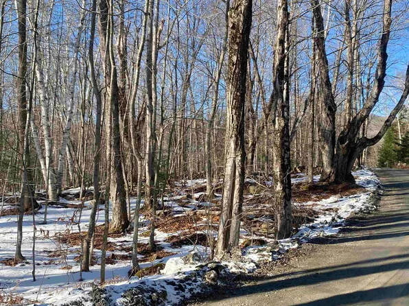 0 Dalewood Road Lot/parcel #26, Jamaica, VT 05343