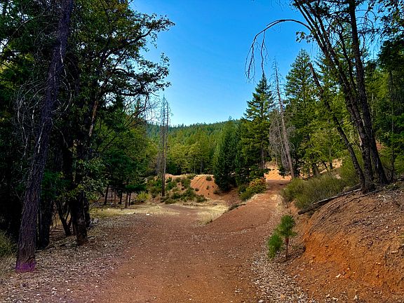4th image of 1291 Upper Moore Gulch Rd