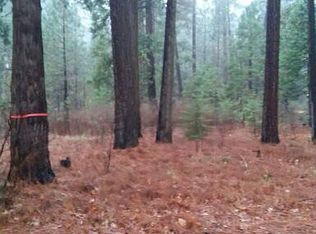 0000 Joda Rd #21, Shingletown, CA 96088