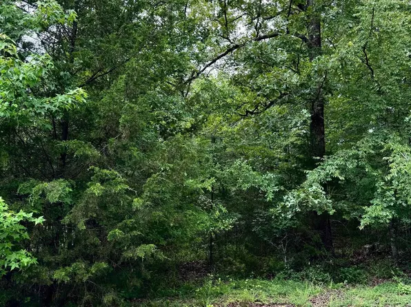 (undisclosed Address), Heber Springs, AR 72543