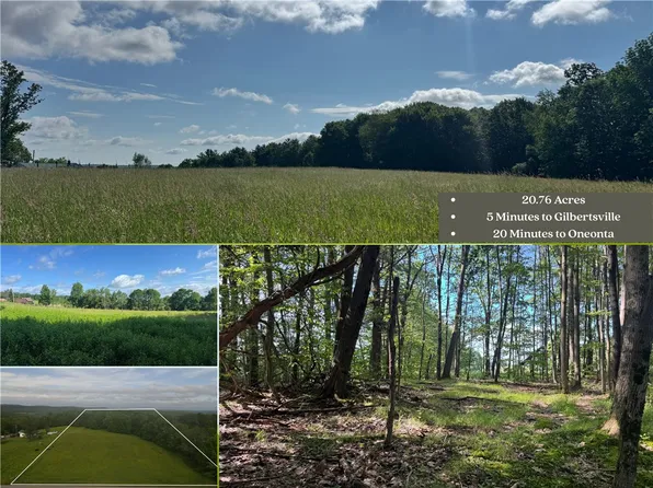 Wilbur Hill Rd, Butternuts, NY 13776