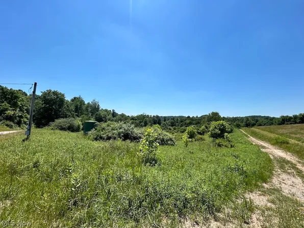 Sheepskin Ridge Rd, Lower Salem, OH 45745