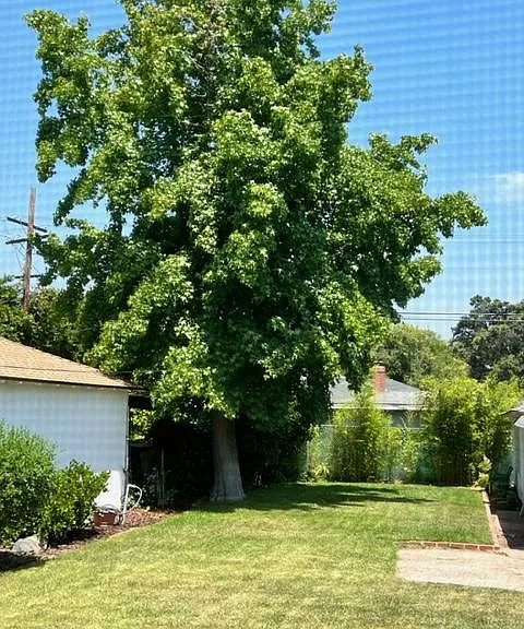 2442 Vista Laguna Ter — Photo 14