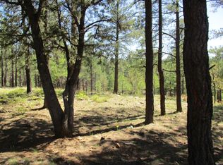 4238 Lariat Way, Happy Jack, AZ 86024