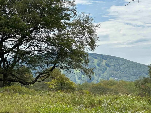 LOT 6B Beech Ln, Davis, WV 26260