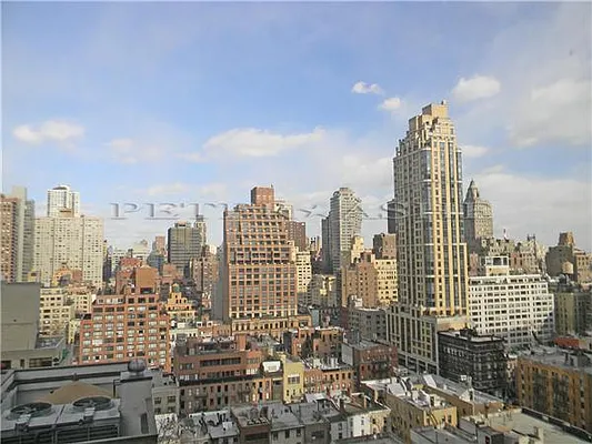 Rented by Peter Ashe | media 13