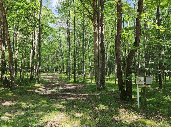 4530 Teaberry Ln, Farwell, MI 48622
