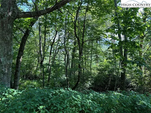TBD Camden Lane, Blowing Rock, NC 28605