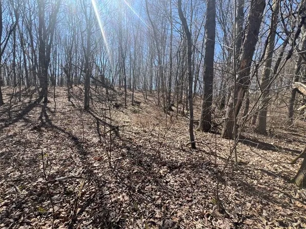 Lot 3 464th Street, Boyceville, WI 54725