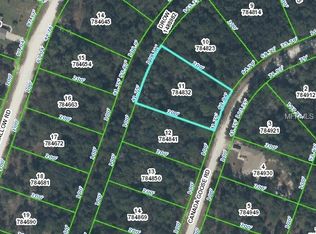 14077 Canada Goose Rd, Weeki Wachee, FL 34614