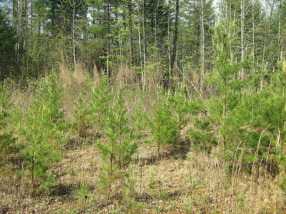 2nd image of 353 Sandy Ford Rd