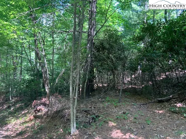 tbd Lower Nettleknob Road, West Jefferson, NC 28694