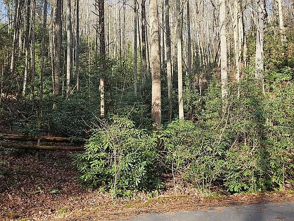 4th image of Lot 63 W Christy Trail