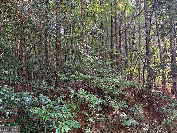 2nd image of 5.10 Acres Hwy #123