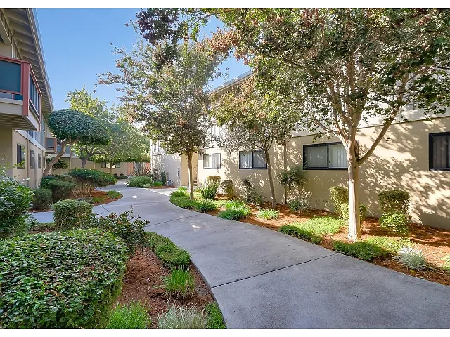 37711 Fremont Blvd #807372 photo 1