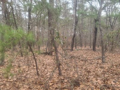 Tbd Union Church Road, Carthage, NC, 28327