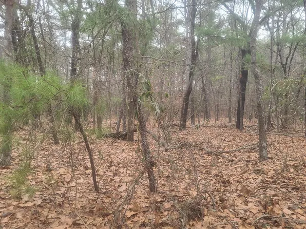 Tbd Union Church Road, Carthage, NC 28327