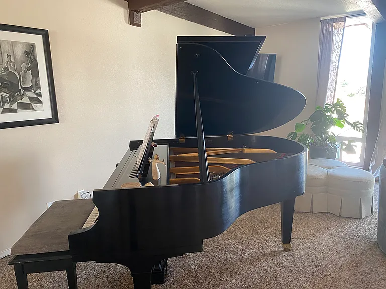 I teach my granddaughter piano once a week
