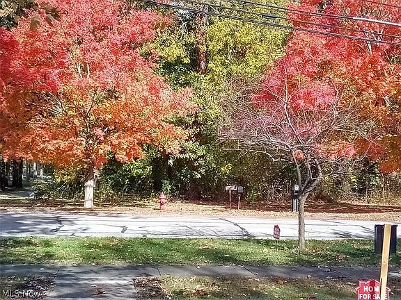 5th image of 4002 Main St