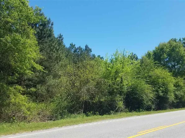 Highway 38 N, Bennettsville, SC 29512