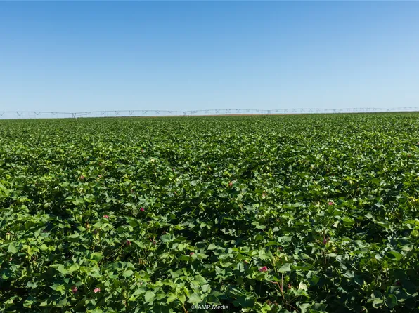 County Road 1691, Haskell, TX 79521