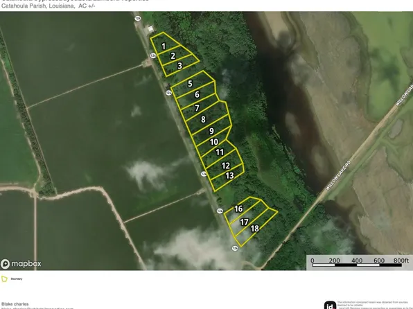 Highway 124 Lot Wp003, Jonesville, LA 71343
