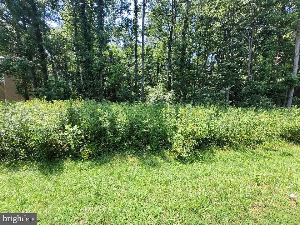 1st image of 40 Grove Dr