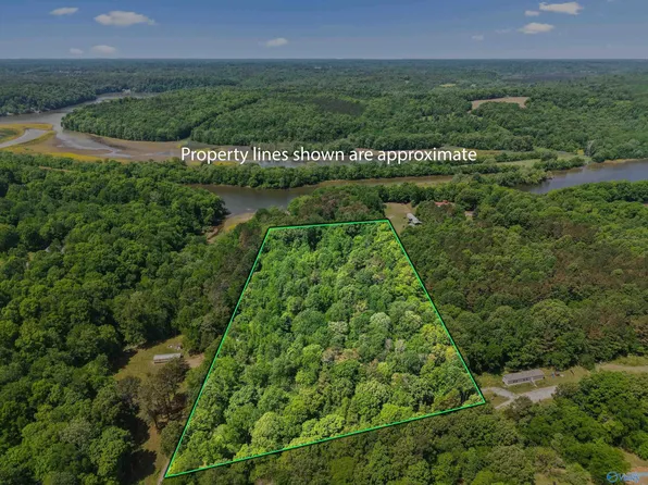 12105 Grigsby Ferry Rd, Elkmont, AL 35620