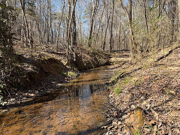 2nd image of 0 Long Cane Rd