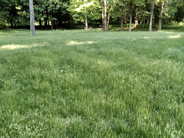 5 Jane Ct — Photo 20