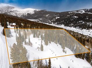 1307 Roberts Rd #10, Alma, CO 80420