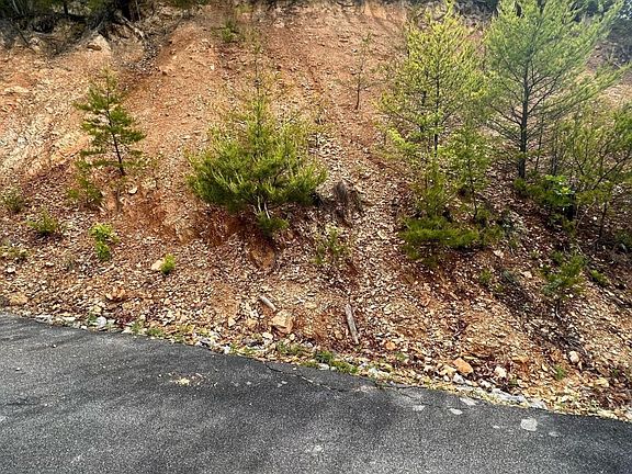3rd image of 180 Jones Creek Ln Lot 180E