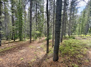 285 Lower Forest Rd, Idaho Springs, CO 80452
